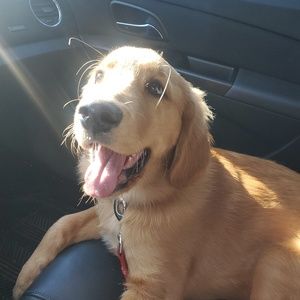 Meet your Posher, Nick